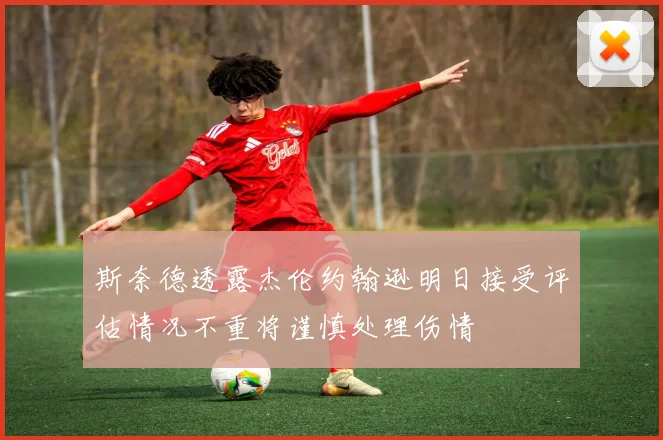 斯奈德透露杰伦约翰逊明日接受评估情况不重将谨慎处理伤情