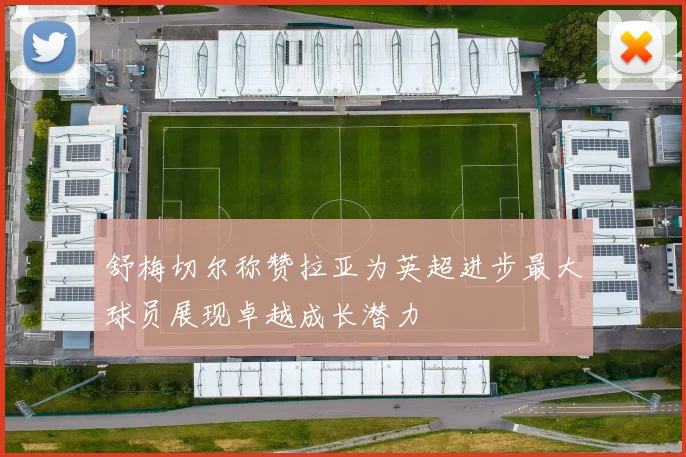 舒梅切尔称赞拉亚为英超进步最大球员展现卓越成长潜力